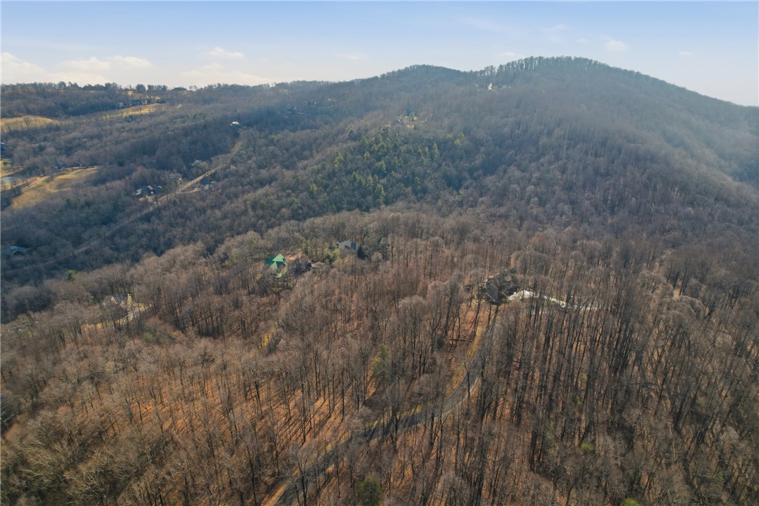 116 Witch Hazel Trail Landrum, SC 29356 - Photo 17 of 26 Perched atop a wooded mountain, this property offers serene privacy and expansive natural beauty.