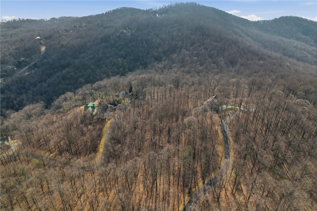 116 Witch Hazel Trail Landrum, SC 29356 - Photo 18 of 26 Perched on a serene hillside, this home offers tranquil tree-filled mountain views and expansive skies.