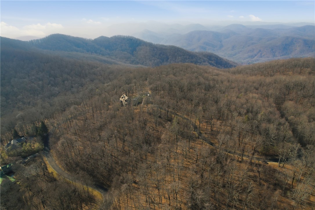 116 Witch Hazel Trail Landrum, SC 29356 - Photo 19 of 26 This elevated view captures a home nestled among the vast expanse of surrounding woodlands.