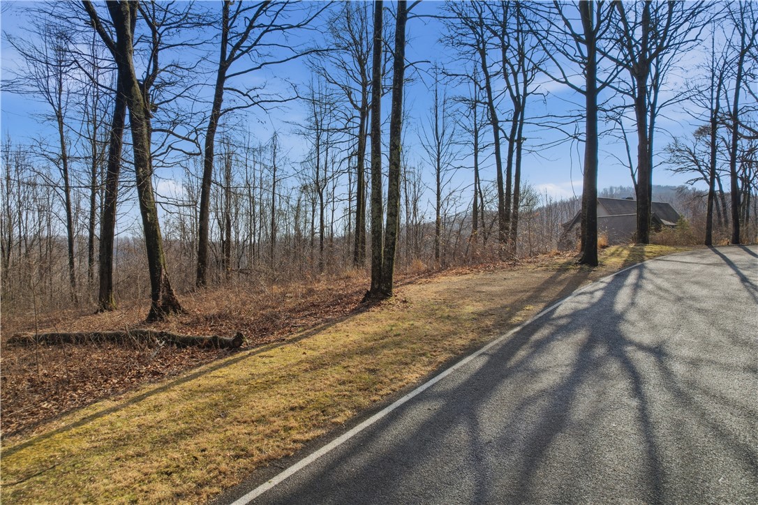 116 Witch Hazel Trail Landrum, SC 29356 - Photo 2 of 26 This scenic lot offers a tranquil setting with mature trees and a view of distant hills.
