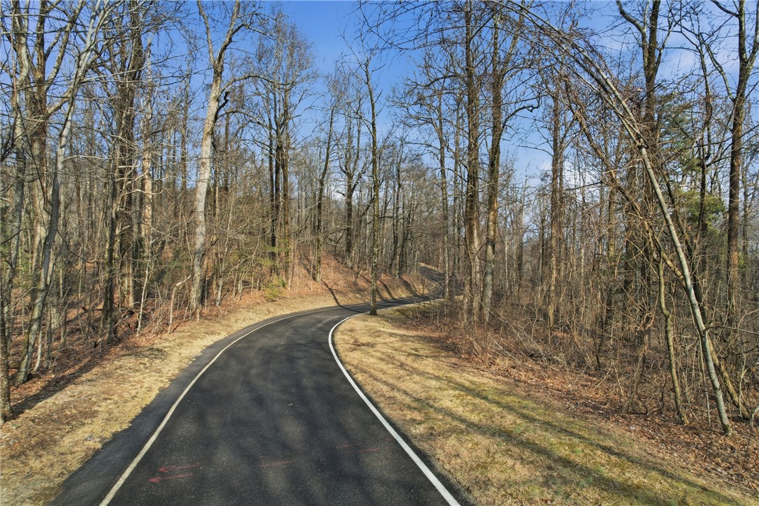 116 Witch Hazel Trail Landrum, SC 29356 - Photo 3 of 26 A winding road through a serene wooded landscape, offering privacy and natural beauty.