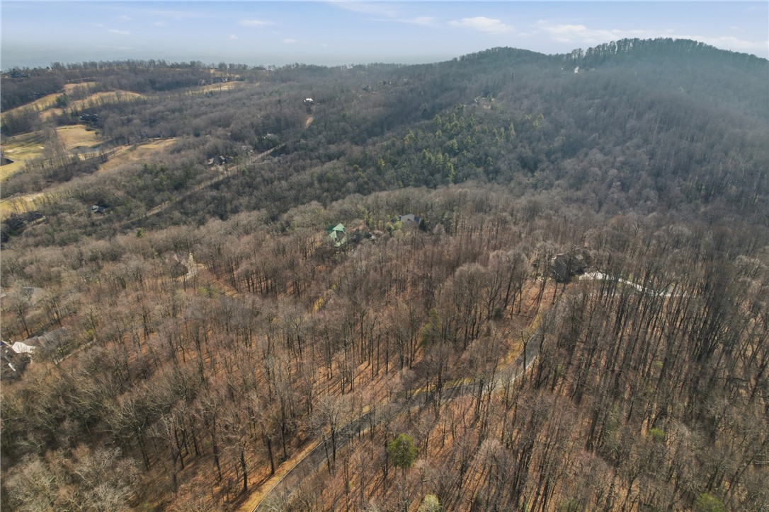 116 Witch Hazel Trail Landrum, SC 29356 - Photo 5 of 26 Perched among verdant hills, this property offers serene vistas and an immersive natural setting.