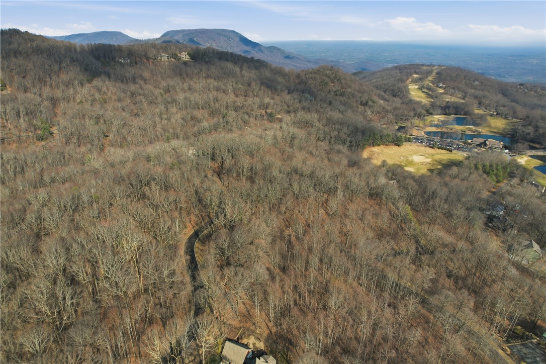 116 Witch Hazel Trail Landrum, SC 29356 - Photo 6 of 26 This elevated view captures the extensive forest and distant mountains.