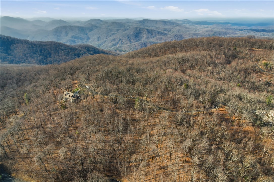 116 Witch Hazel Trail Landrum, SC 29356 - Photo 7 of 26 This elevated residence is nestled amidst a vast expanse of woodlands with mountain views.