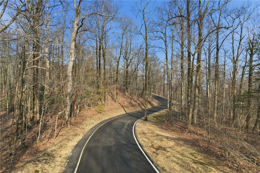 116 Witch Hazel Trail Landrum, SC 29356 - Photo 10 of 26 A winding road navigates through a serene, wooded landscape, offering a tranquil setting.