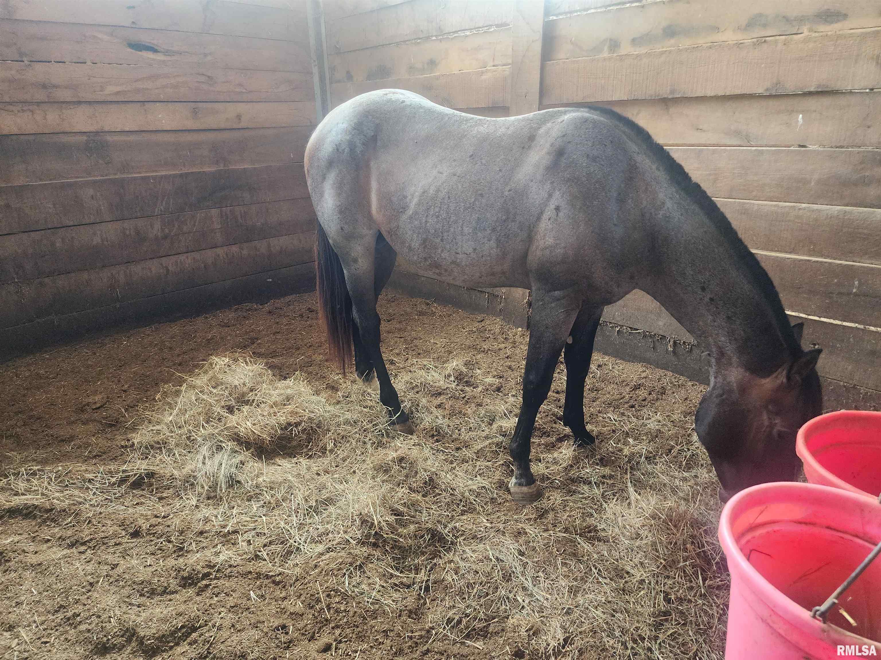 1230 Highway 45 Vienna, IL 62995 - Photo 16 of 73