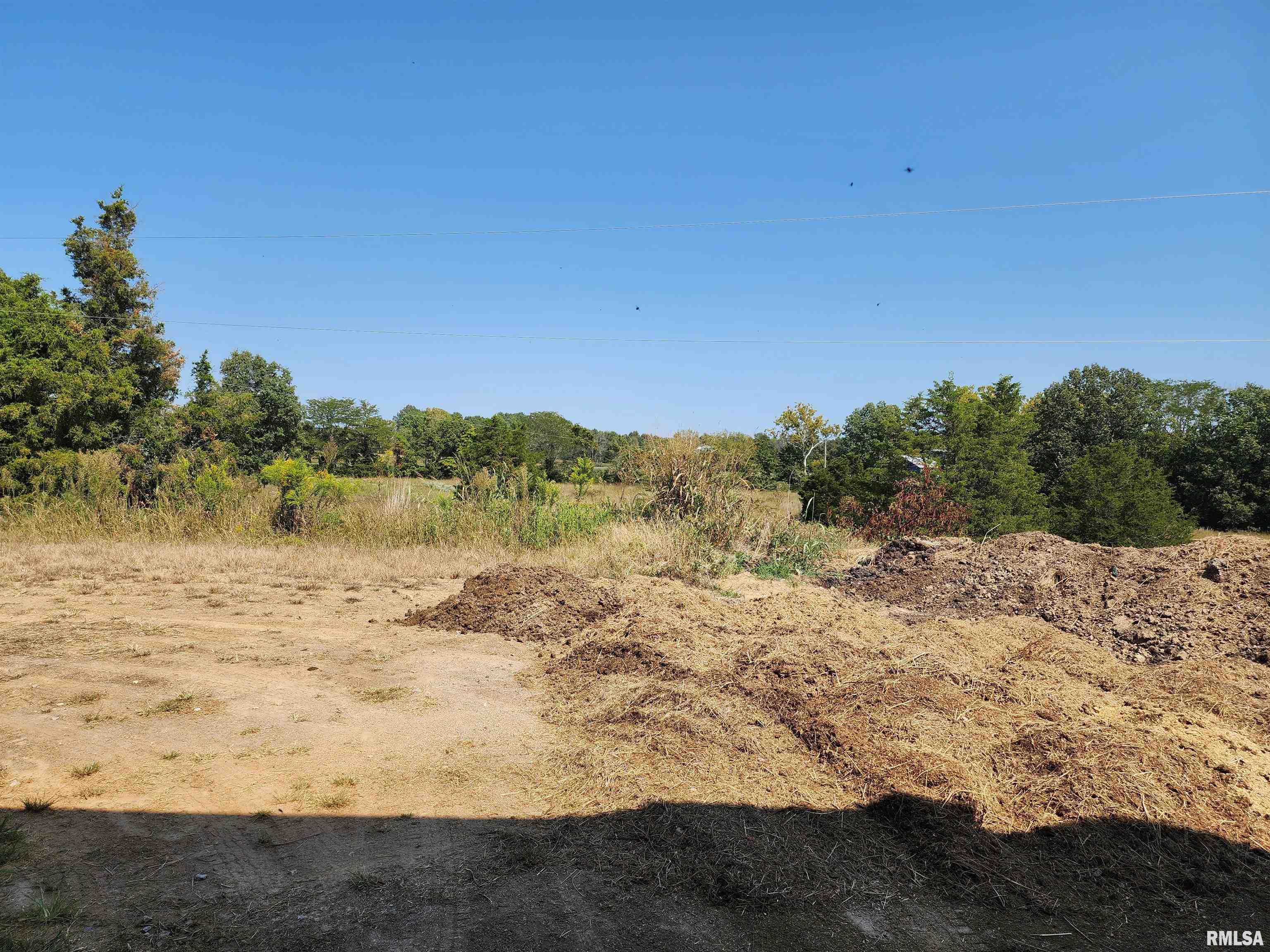 1230 Highway 45 Vienna, IL 62995 - Photo 21 of 73