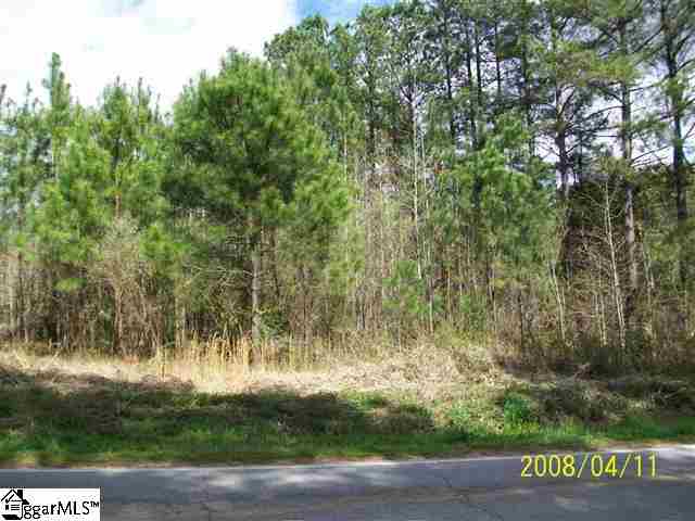 0 Charlottes Road Clinton, SC 29325 - Photo 1 of 1 Gallery Image 1