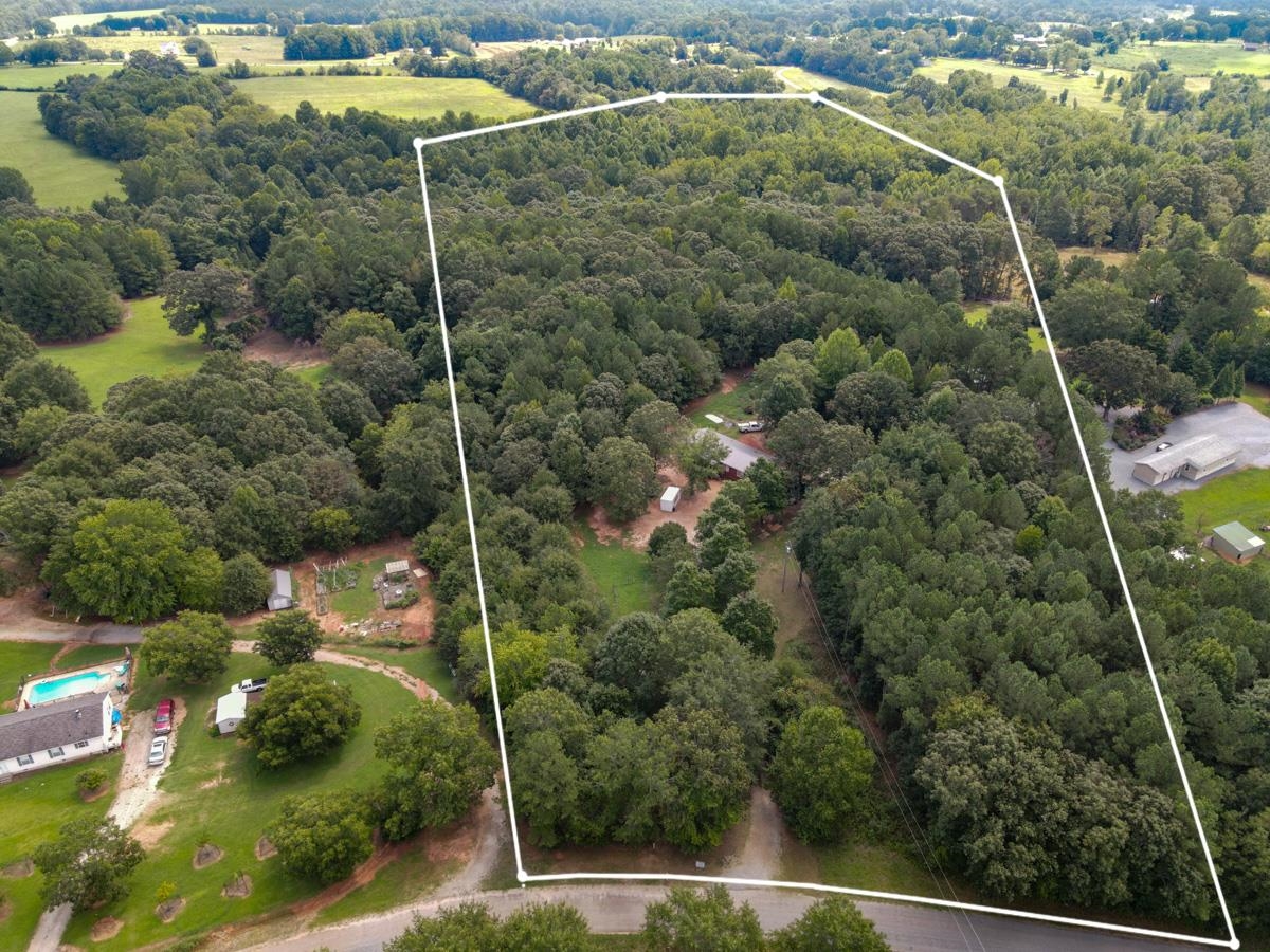 301 Claude Gilbert Road Columbus, NC 28722 - Photo 2 of 36