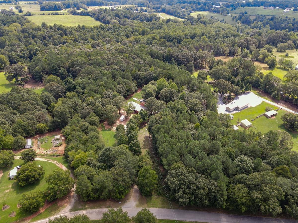 301 Claude Gilbert Road Columbus, NC 28722 - Photo 32 of 36