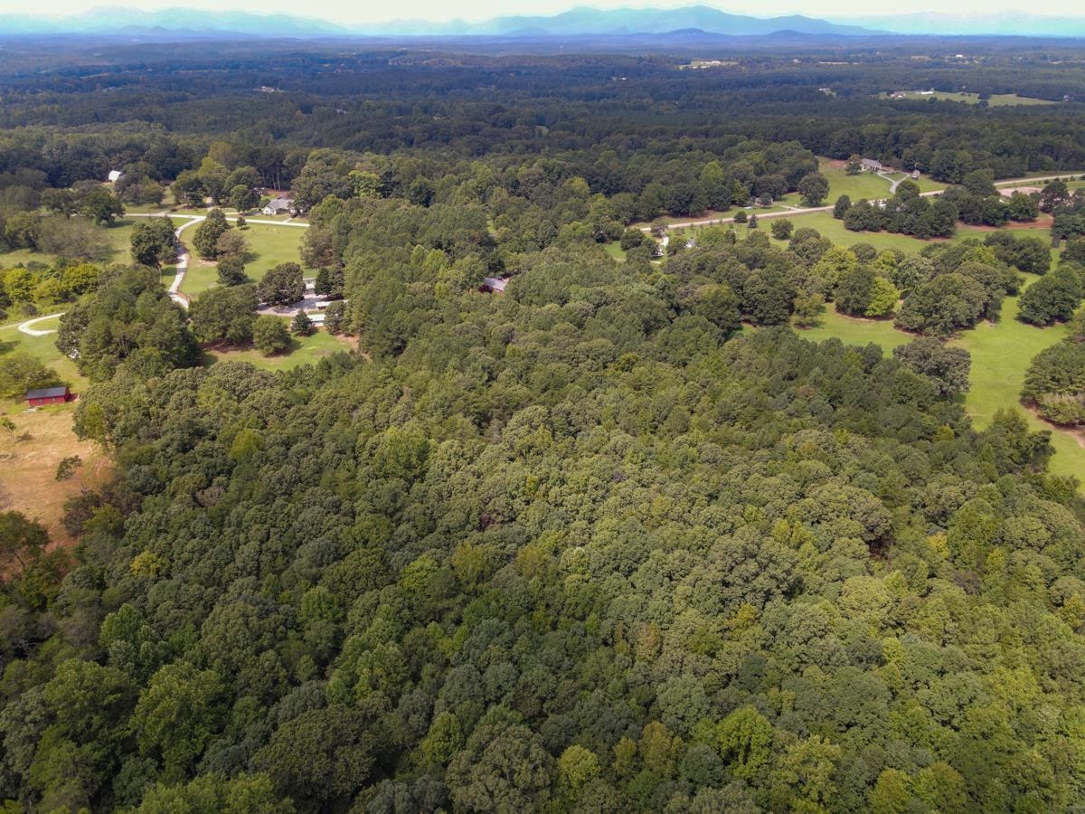 301 Claude Gilbert Road Columbus, NC 28722 - Photo 35 of 36