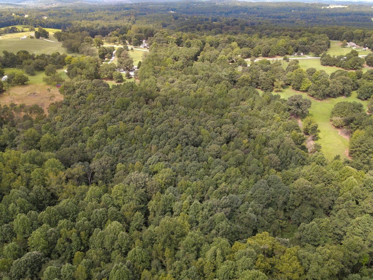 301 Claude Gilbert Road Columbus, NC 28722 - Photo 36 of 36