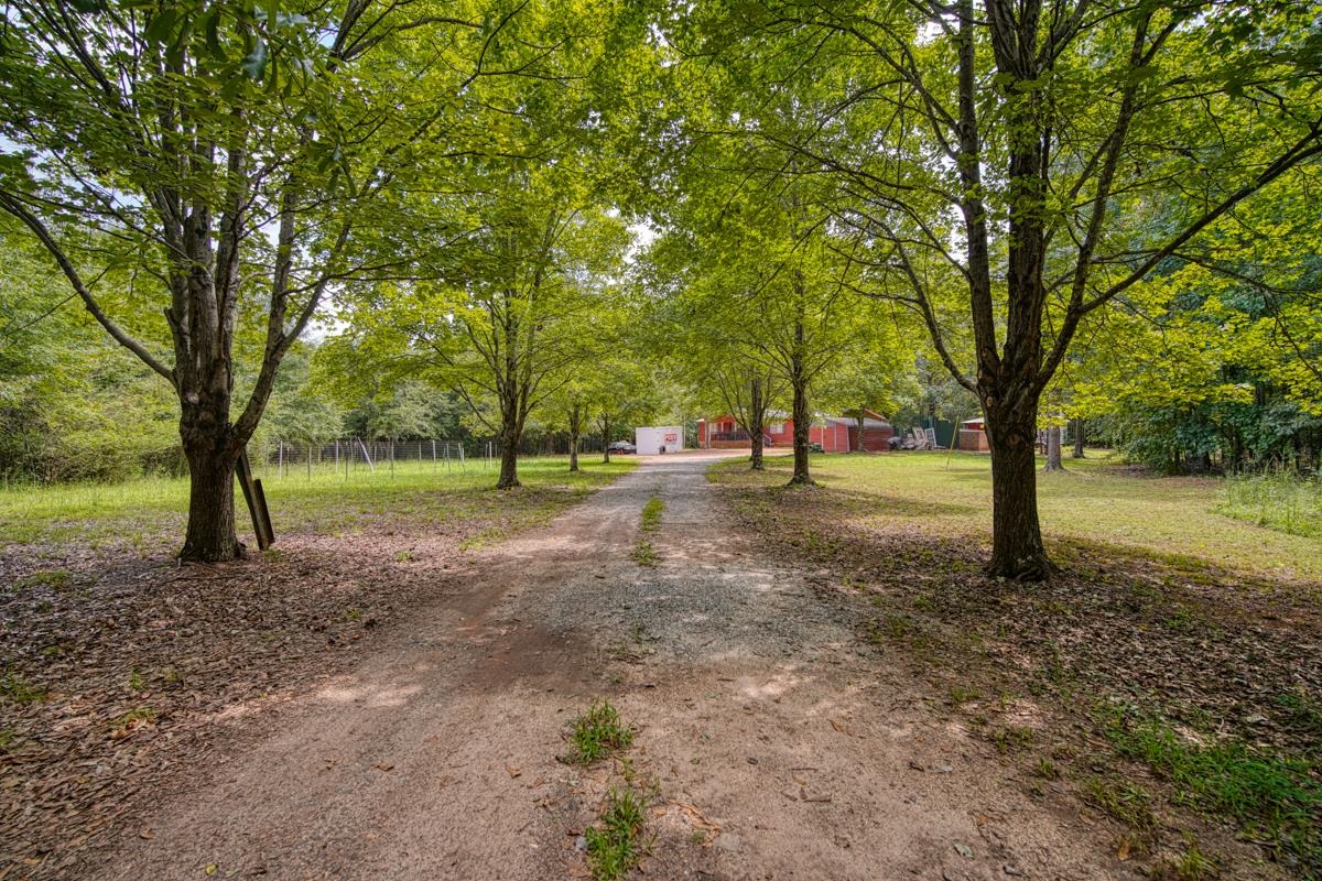 301 Claude Gilbert Road Columbus, NC 28722 - Photo 5 of 36