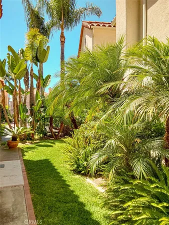 a view of a swimming pool with outdoor seating and plants