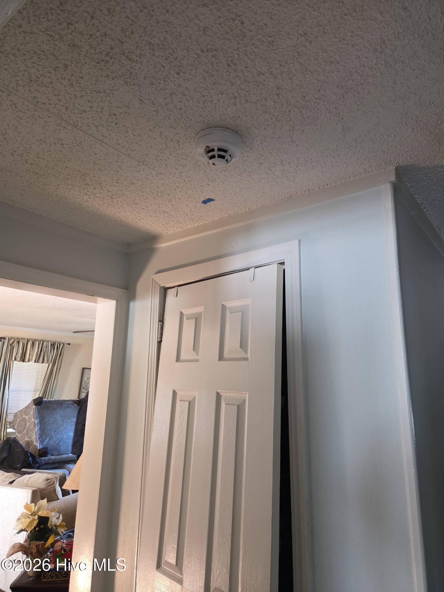 131 Gum Neck Road Belhaven, NC 27810 - Photo 104 of 111 2025-12-31T121044_6578a8d1-7439-4ac0-9a6