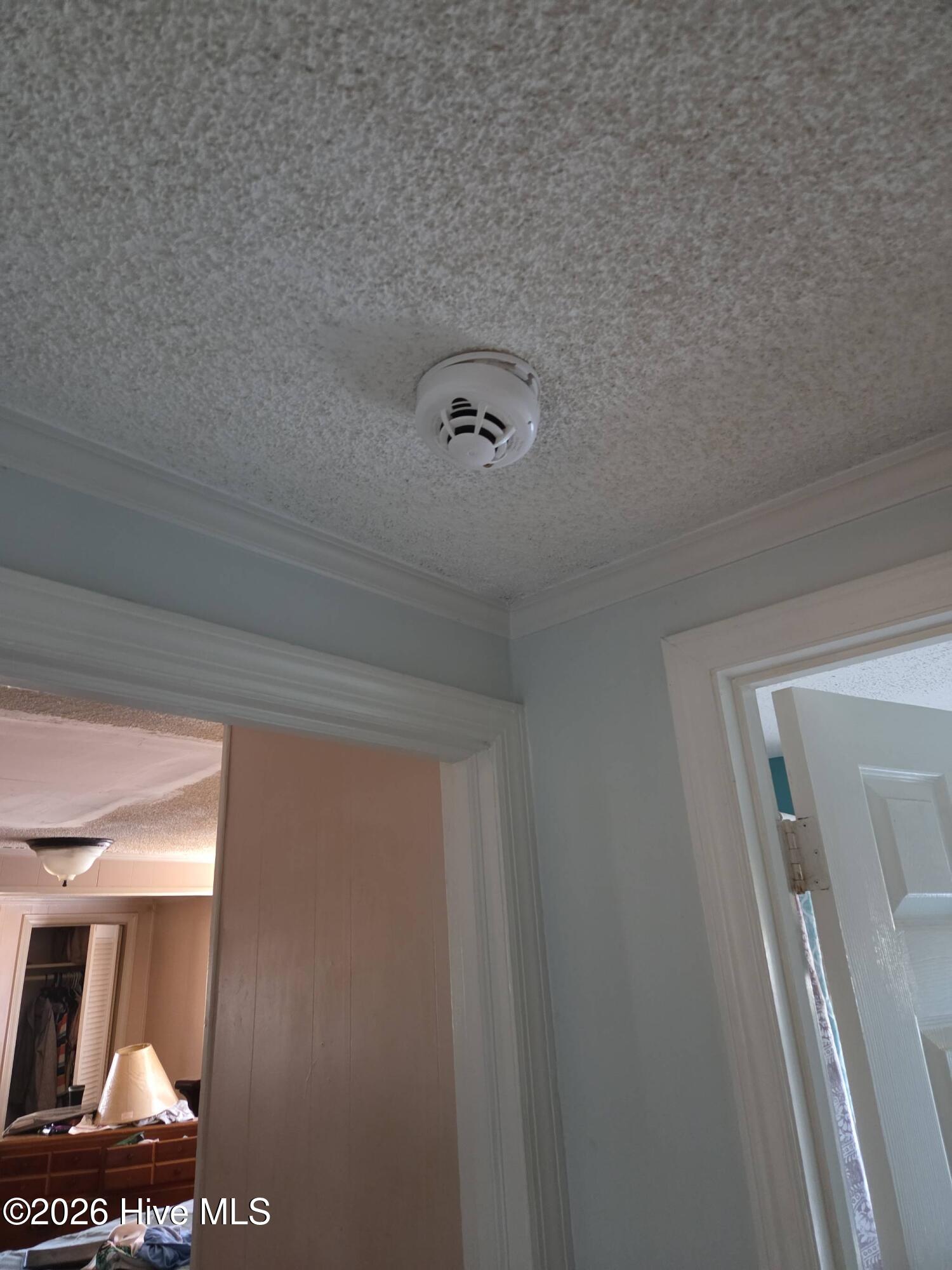 131 Gum Neck Road Belhaven, NC 27810 - Photo 105 of 111 2025-12-31T121047_0a3dc0f2-527d-4831-b51