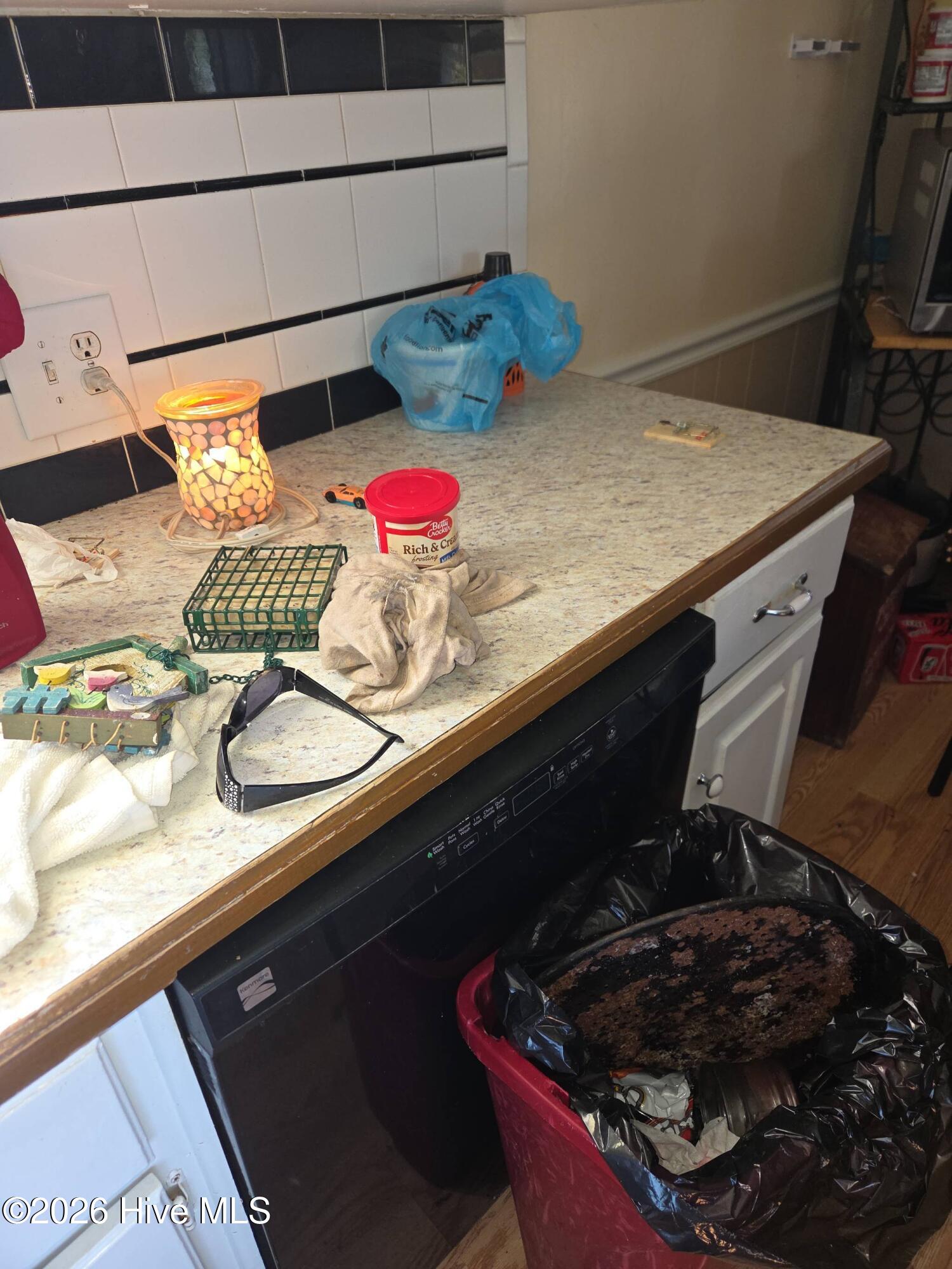 131 Gum Neck Road Belhaven, NC 27810 - Photo 110 of 111 2025-12-31T121223_22b4f993-a4c3-44da-b55