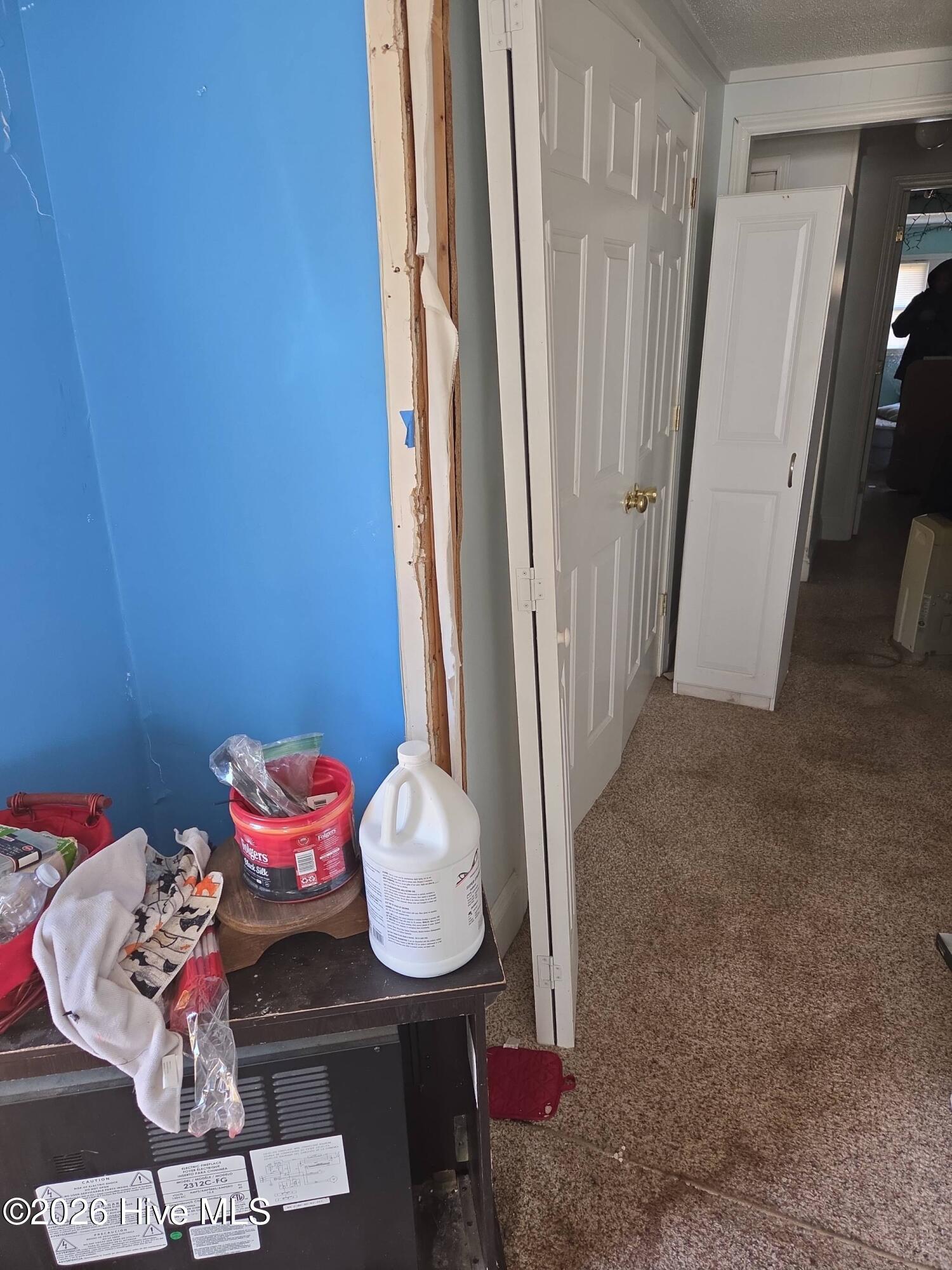 131 Gum Neck Road Belhaven, NC 27810 - Photo 45 of 111 2025-12-31T112513_a4e91afa-57ae-4e51-afa