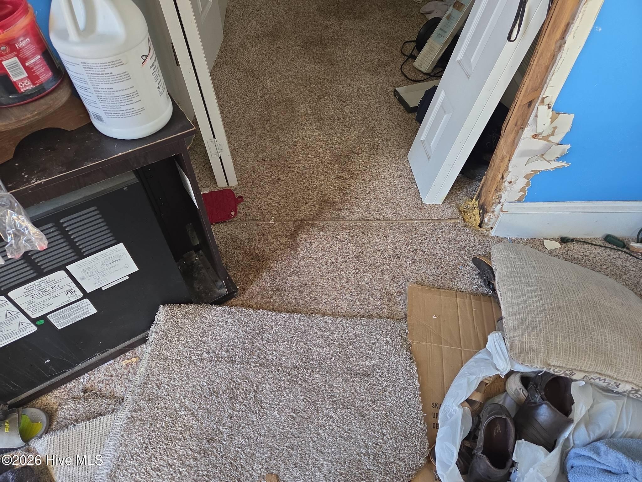 131 Gum Neck Road Belhaven, NC 27810 - Photo 47 of 111 2025-12-31T112542_e168d06b-b382-4df5-973