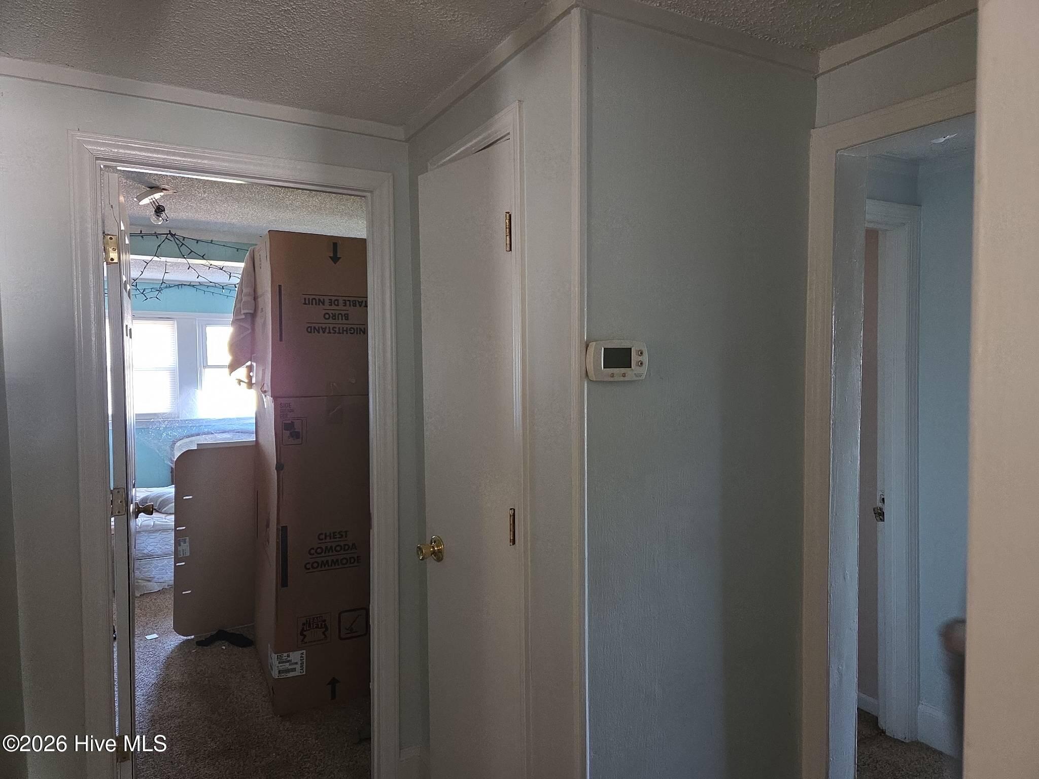 131 Gum Neck Road Belhaven, NC 27810 - Photo 54 of 111 2025-12-31T112731_0ac196b6-c551-485c-a41