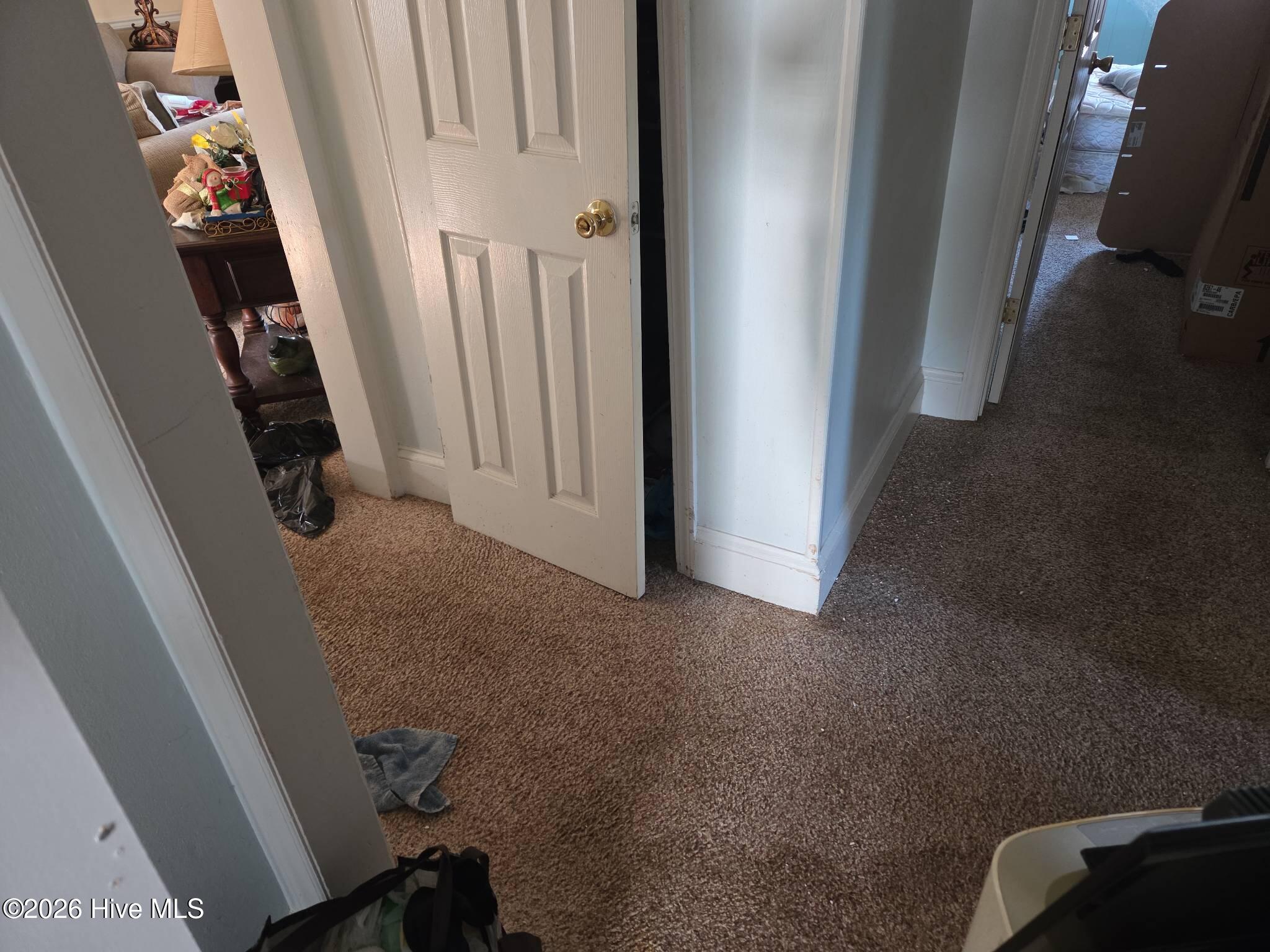 131 Gum Neck Road Belhaven, NC 27810 - Photo 55 of 111 2025-12-31T112734_d5233a25-a199-41db-a05