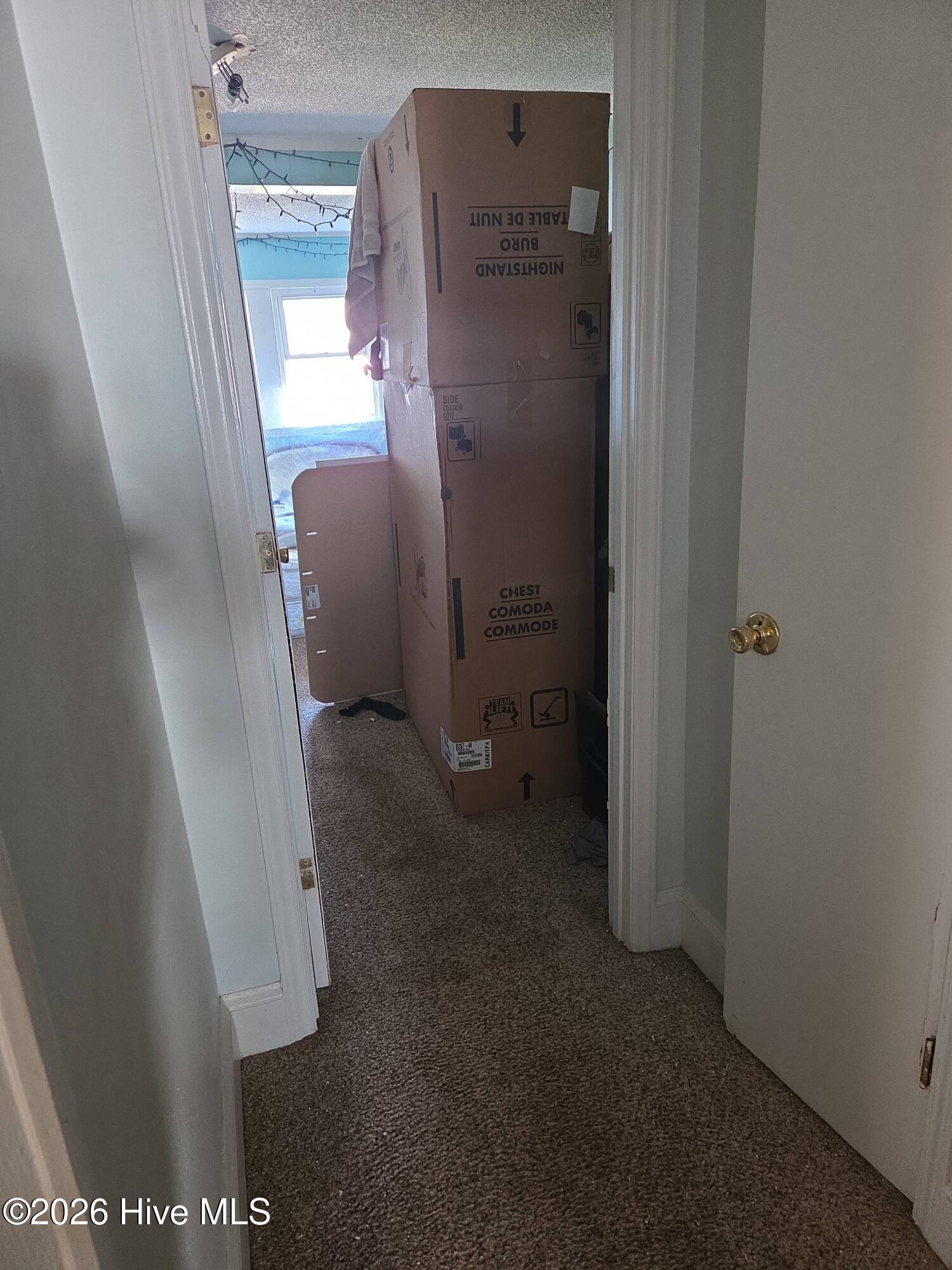 131 Gum Neck Road Belhaven, NC 27810 - Photo 56 of 111 2025-12-31T112920_7337b69d-f8f4-4ea1-bb3