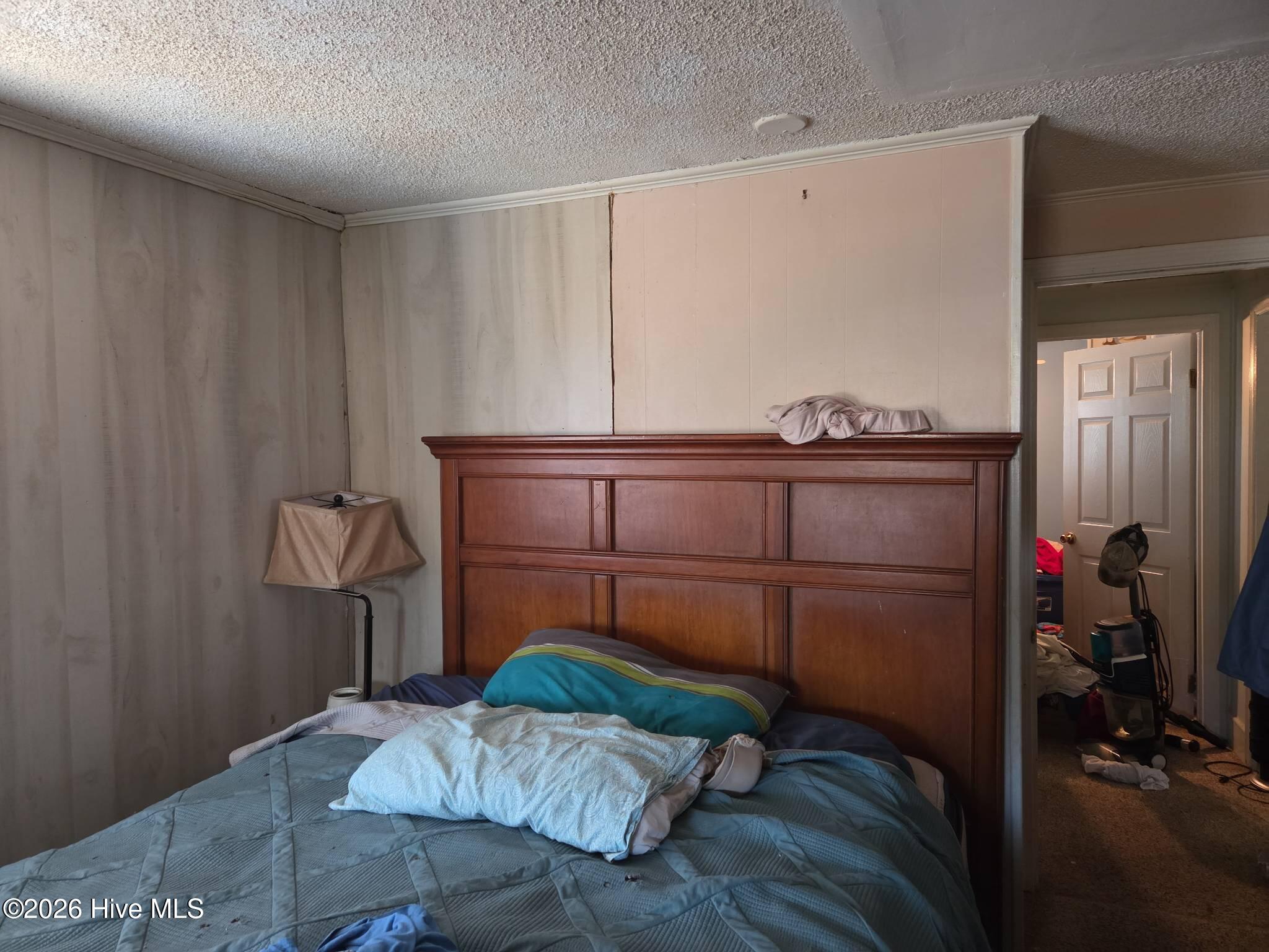 131 Gum Neck Road Belhaven, NC 27810 - Photo 80 of 111 2025-12-31T115700_878b77f3-8753-438d-b9e