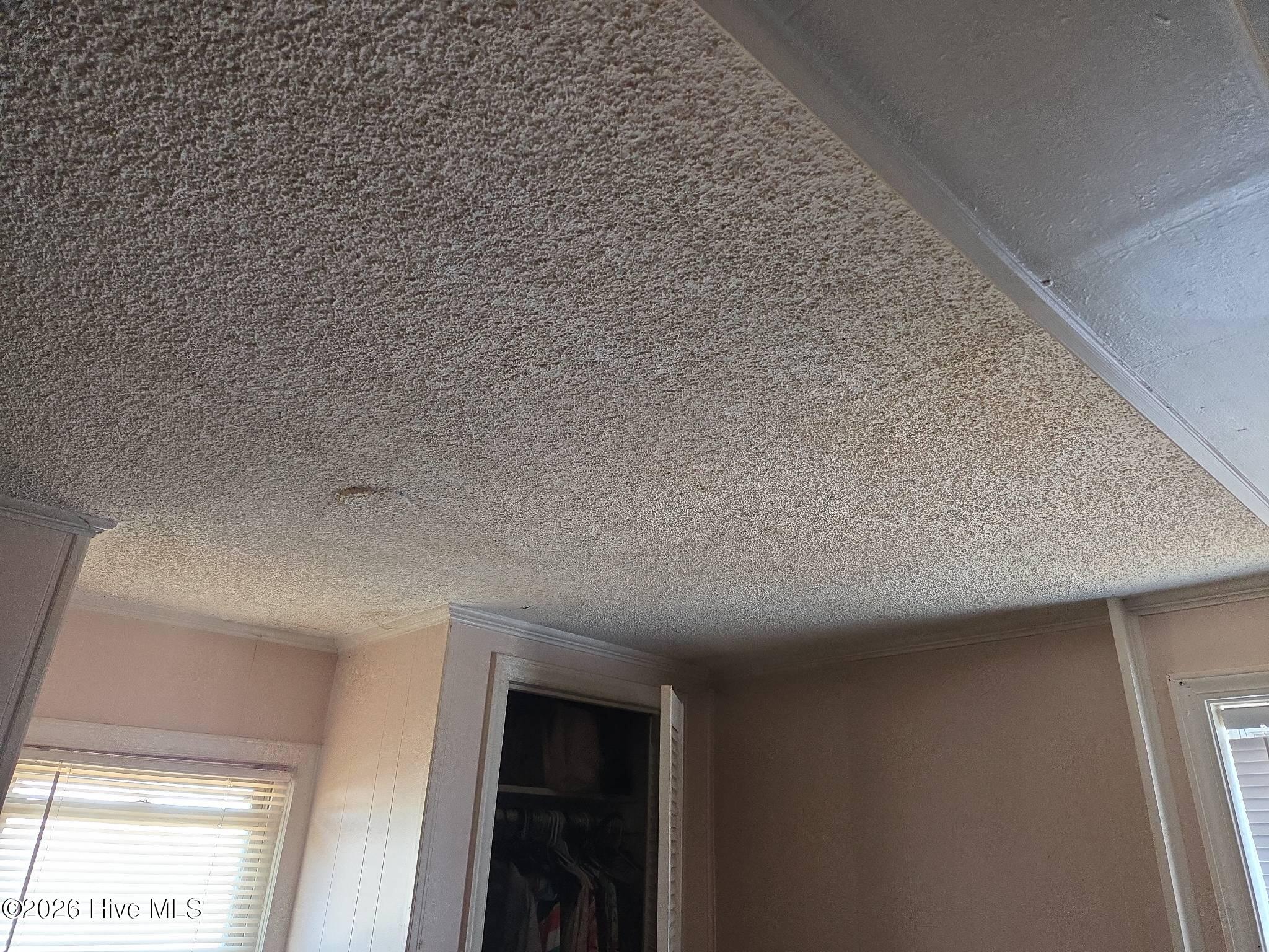 131 Gum Neck Road Belhaven, NC 27810 - Photo 82 of 111 2025-12-31T115723_c952d479-fa9a-493a-918