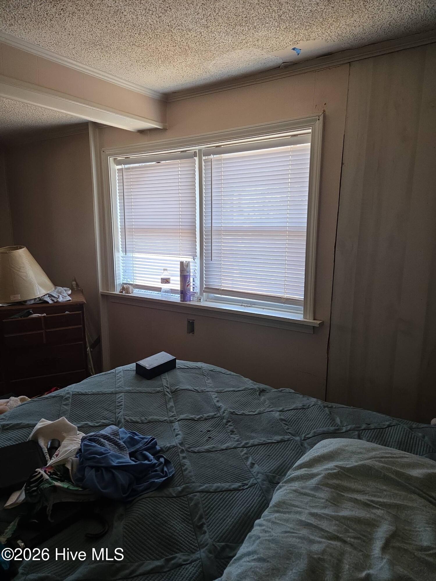 131 Gum Neck Road Belhaven, NC 27810 - Photo 86 of 111 2025-12-31T115820_be706ad6-06fd-4fbb-8f0