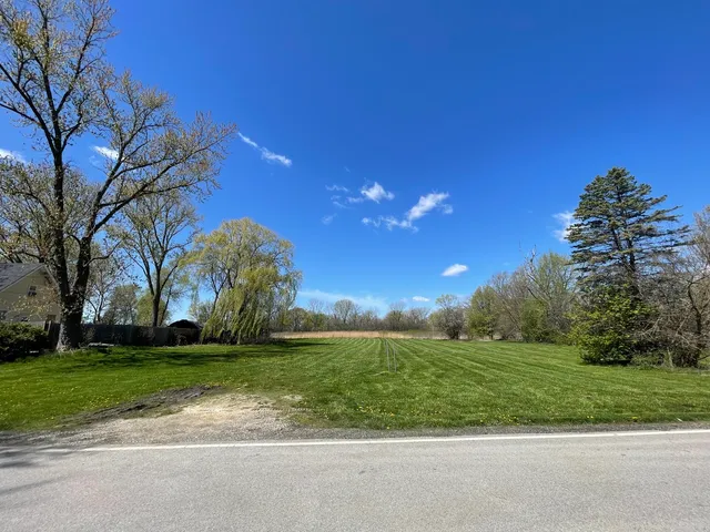 a city view with tall trees
