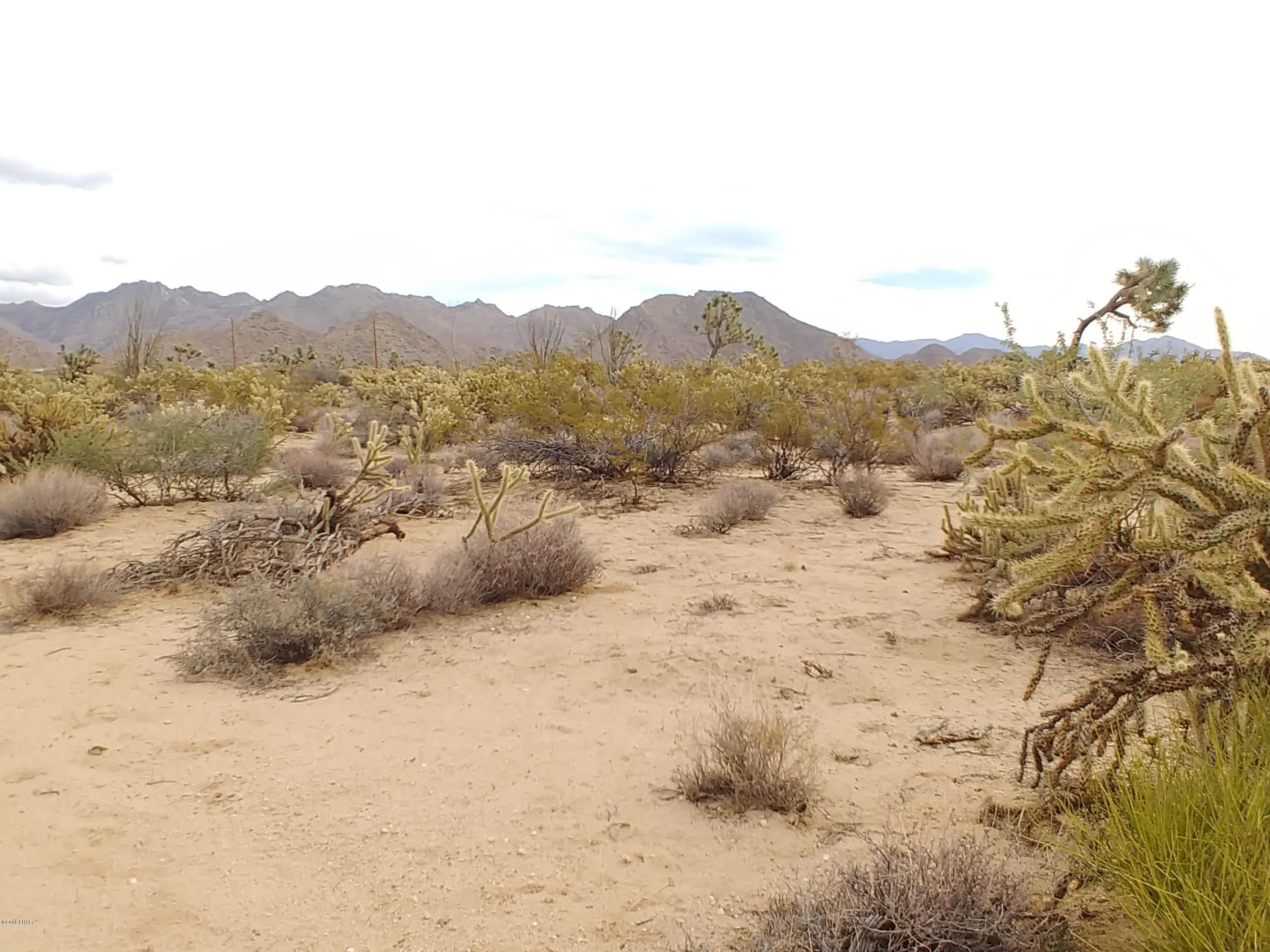 11275 Bennie Road Yucca, AZ 86438 - Photo 12 of 22 0930181326b