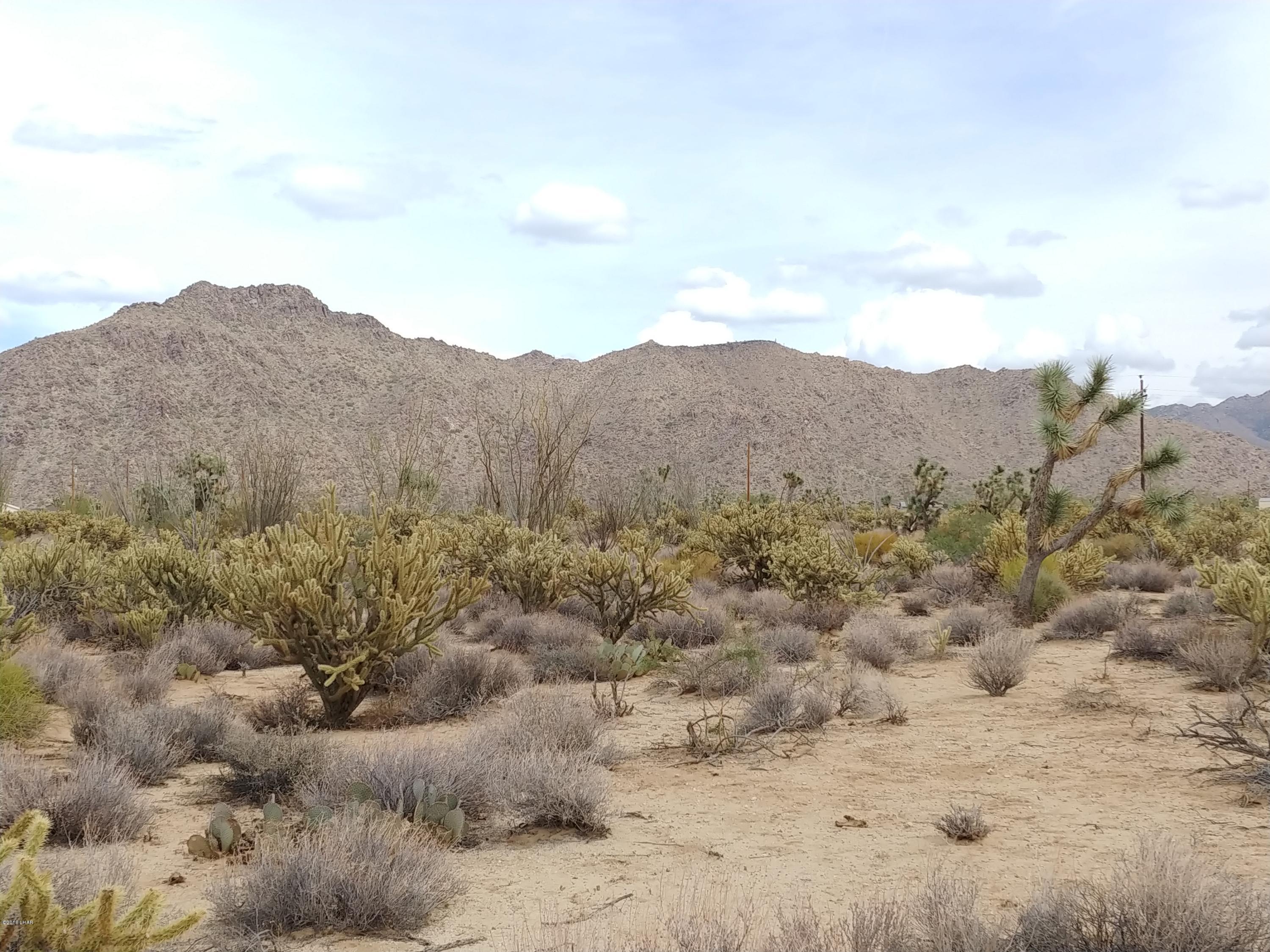 11275 Bennie Road Yucca, AZ 86438 - Photo 6 of 22 0930181324