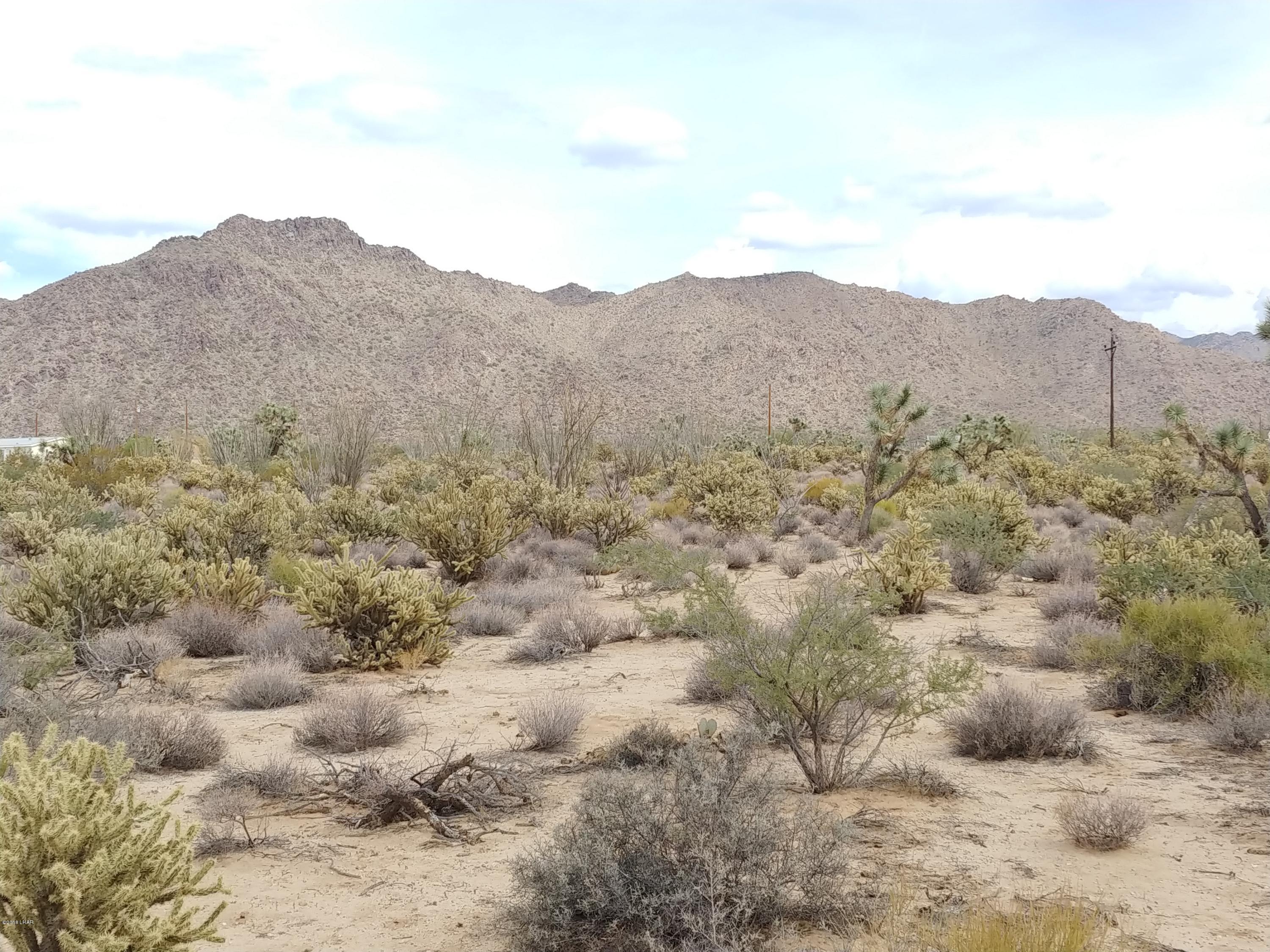 11275 Bennie Road Yucca, AZ 86438 - Photo 7 of 22 0930181323d