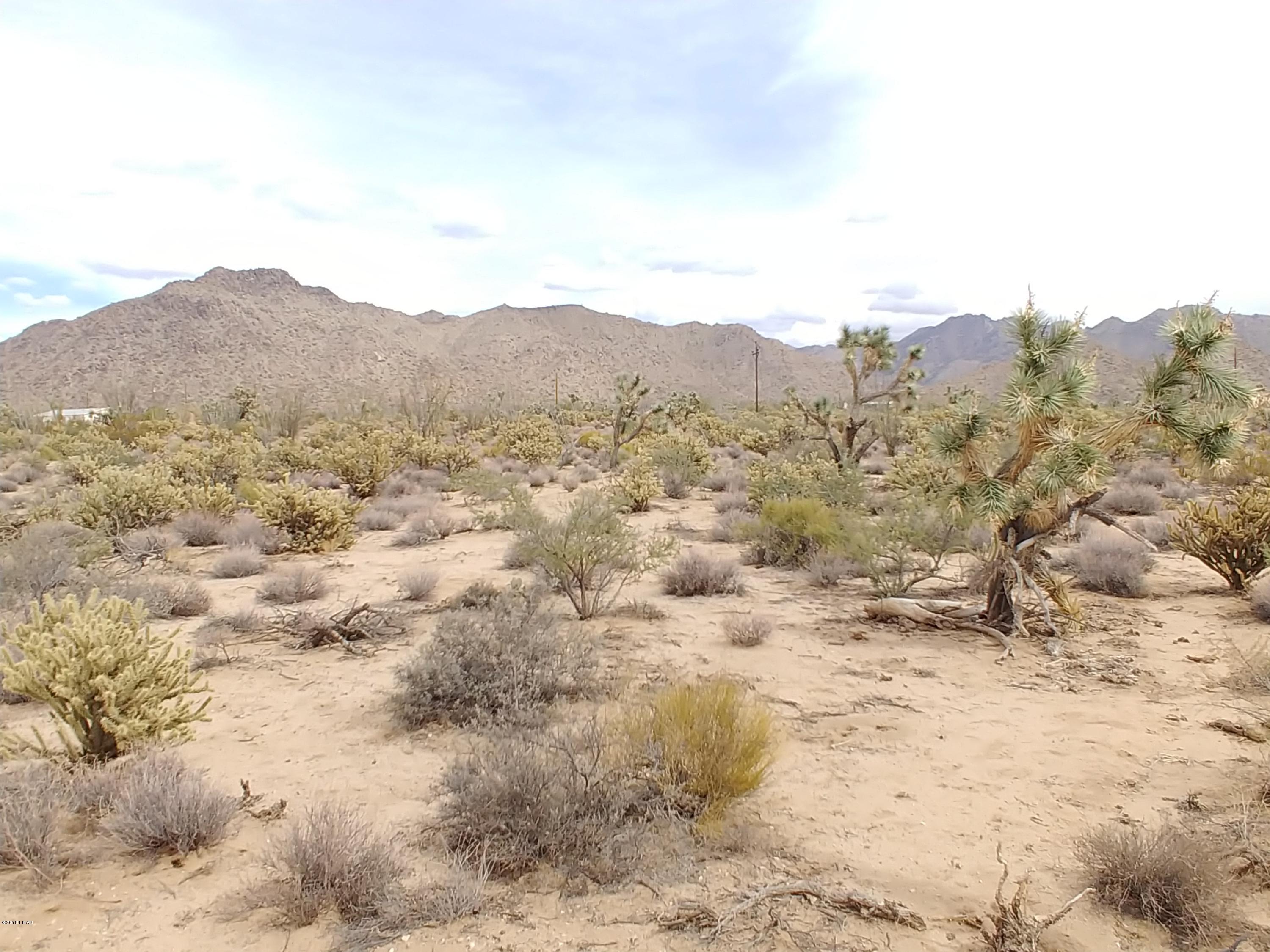 11275 Bennie Road Yucca, AZ 86438 - Photo 8 of 22 0930181323c