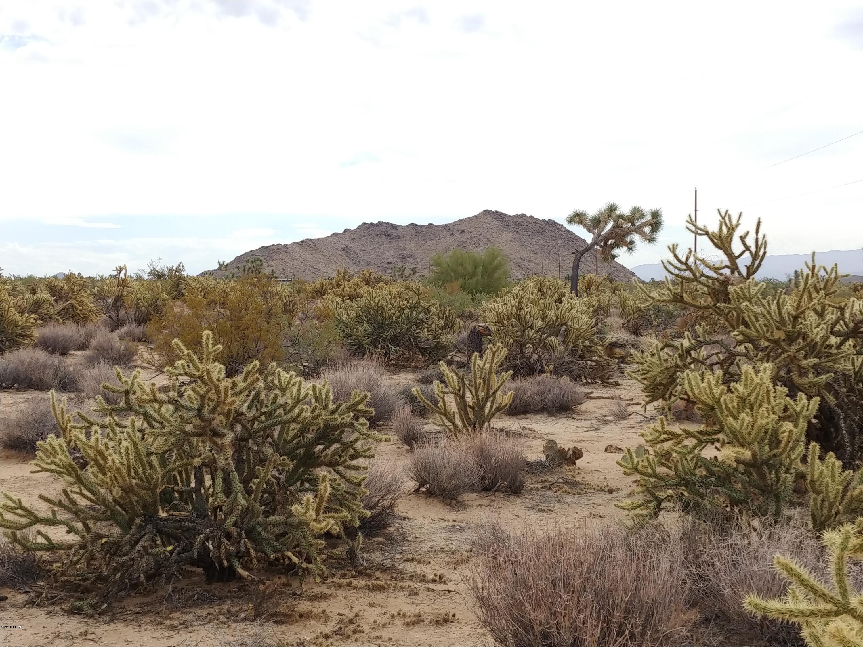 11275 Bennie Road Yucca, AZ 86438 - Photo 9 of 22 0930181324b