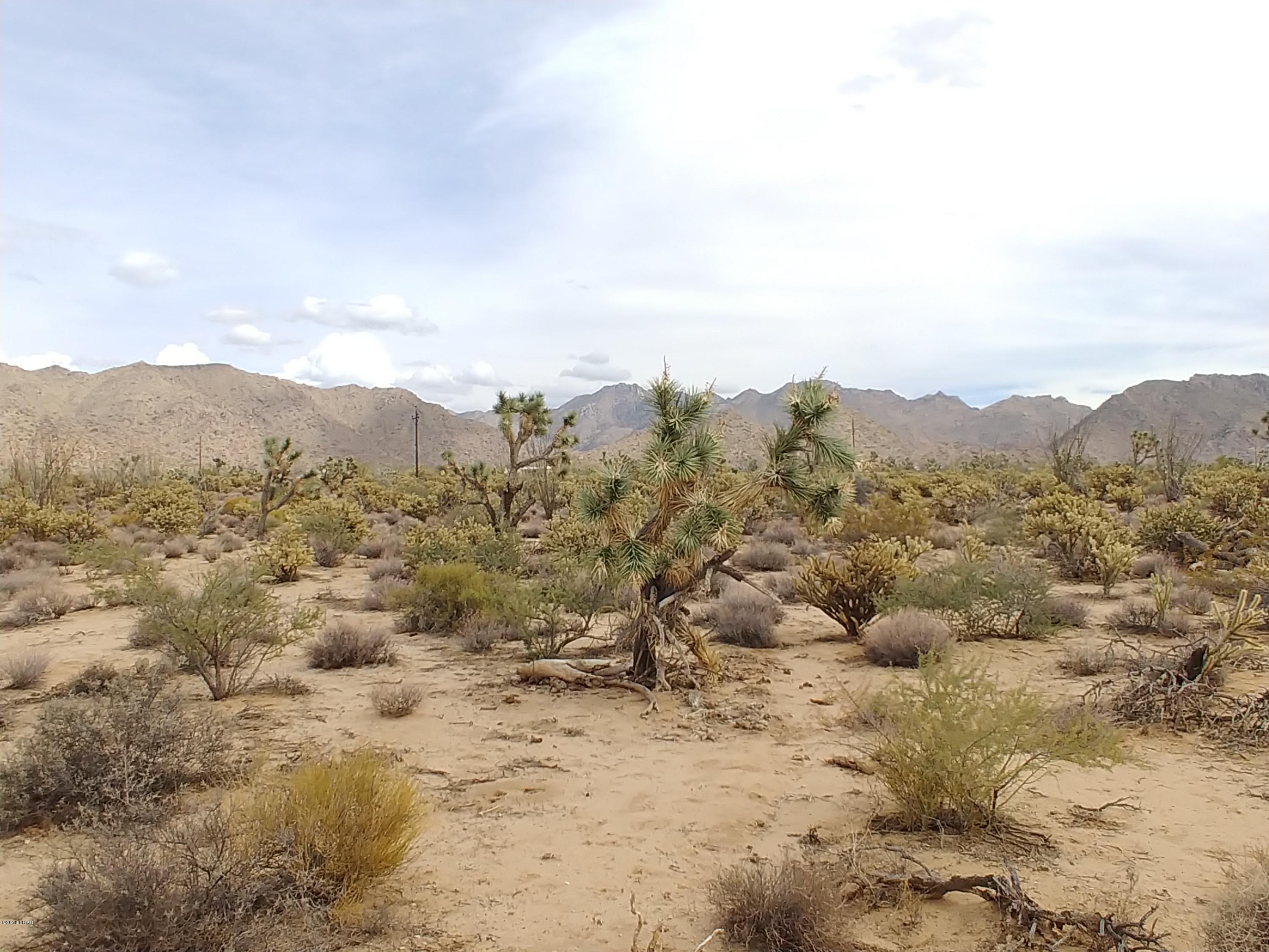 11275 Bennie Road Yucca, AZ 86438 - Photo 10 of 22 0930181322