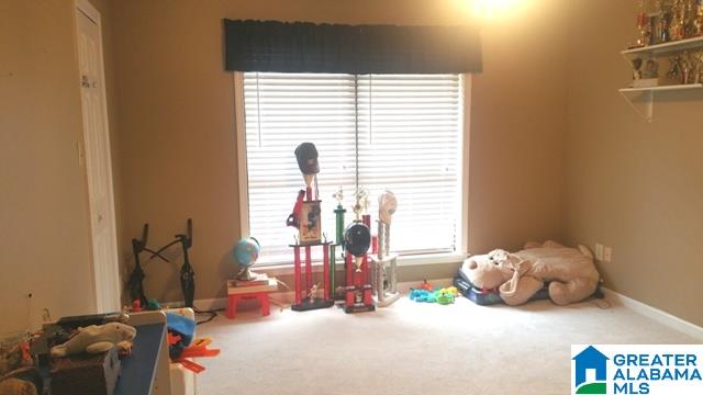 250 Nixon Road Cropwell, AL 35054 - Photo 20 of 49