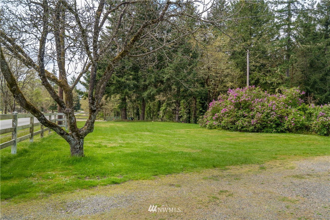 13031 Military Road Southeast Rainier, WA 98576 - Photo 21 of 22 Gallery Image 21