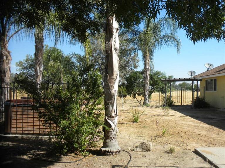 17102 Benecia Road Madera, CA 93636 - Photo 22 of 24 Gallery Image 22