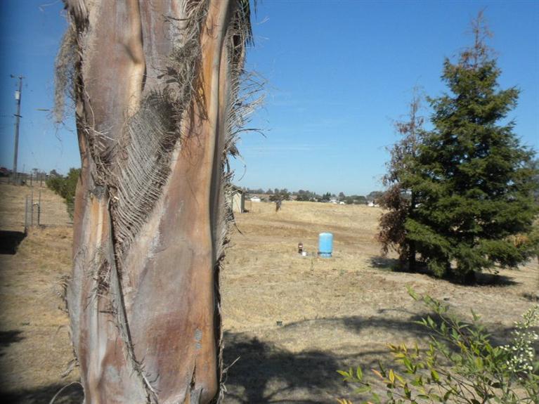 17102 Benecia Road Madera, CA 93636 - Photo 24 of 24 Gallery Image 24