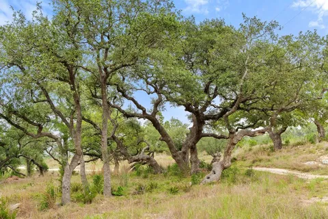 $1,500,000 | 1850 Pursley Road, Dripping Springs, TX 78620
