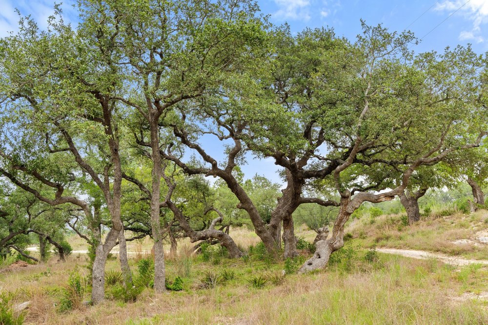 1850 Pursley Road Dripping Springs, TX 78620 - Photo 12 of 32