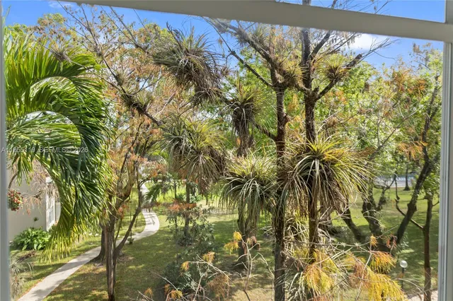 a view of a yard from a window
