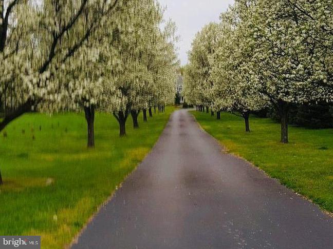 81 Eayrestown Road Medford, NJ 08055 - Photo 70 of 70 Spring blooms line the driveway!