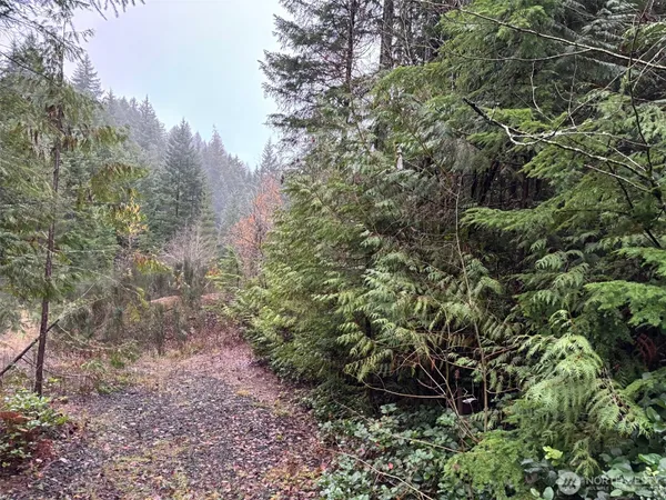 $150,000 | 999 North Lake Cushman Road, Hoodsport, WA 98548