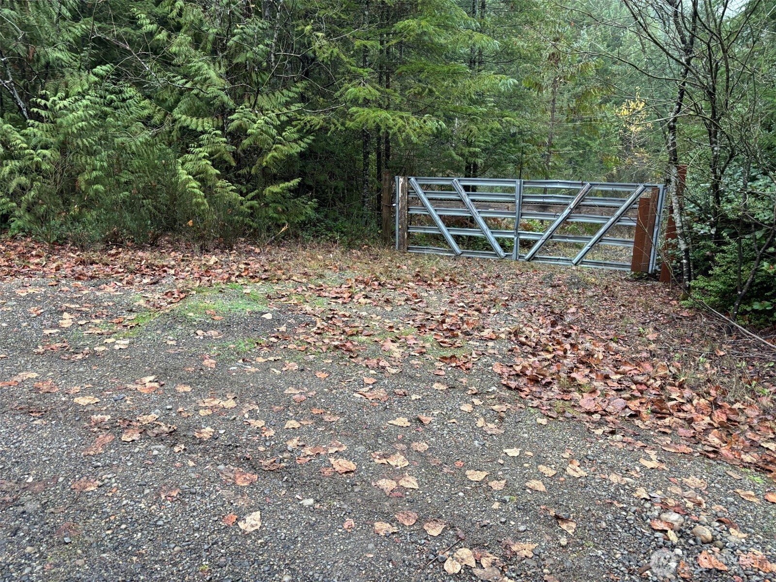 999 North Lake Cushman Road Hoodsport, WA 98548 - Photo 4 of 5 a backyard of a house with table and chairs