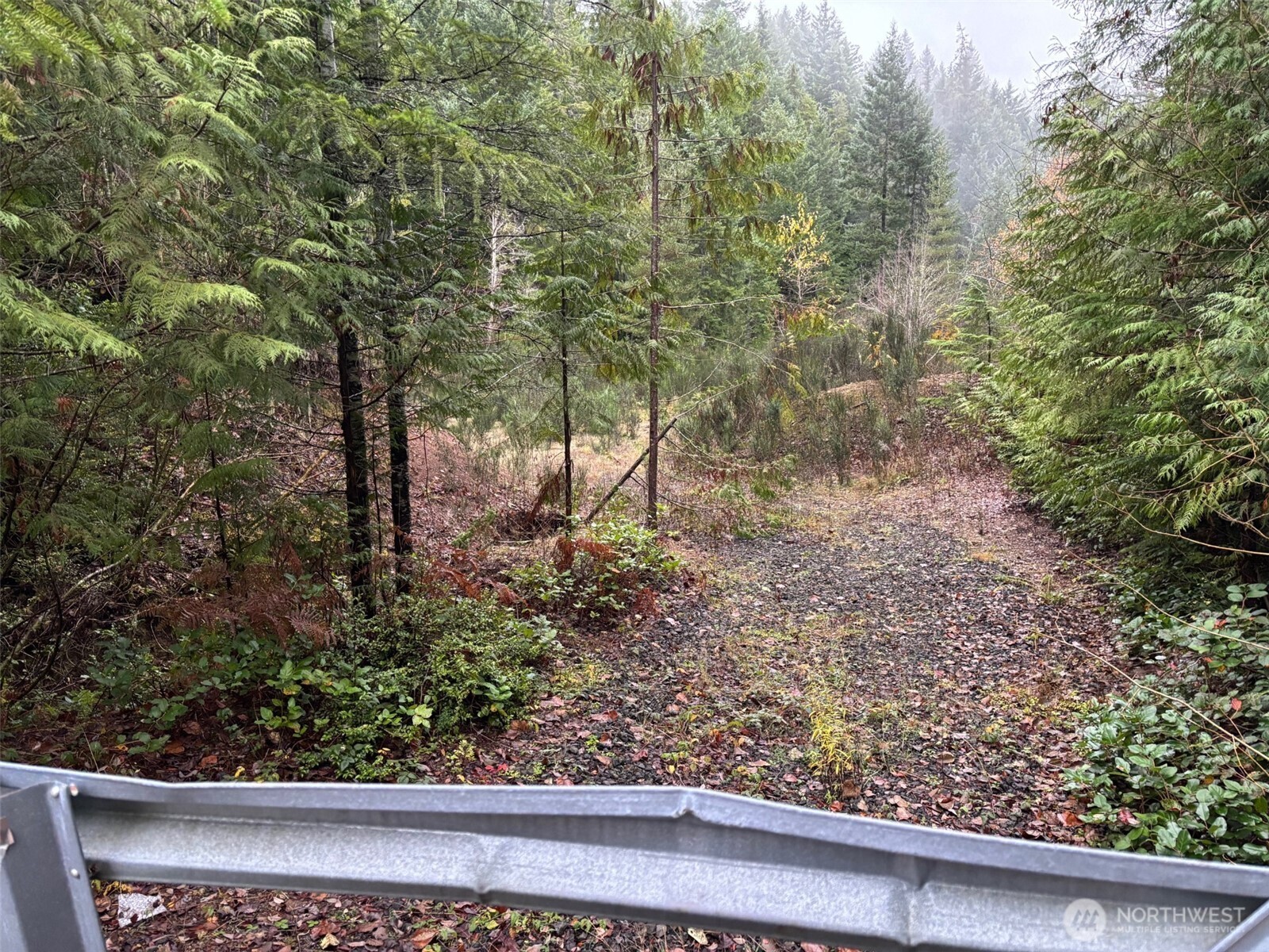 999 North Lake Cushman Road Hoodsport, WA 98548 - Photo 5 of 5 a view of a garden with trees