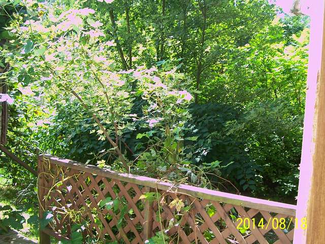 1166 Priest Holw Road Russell, PA 16345 - Photo 11 of 11 Gallery Image 11