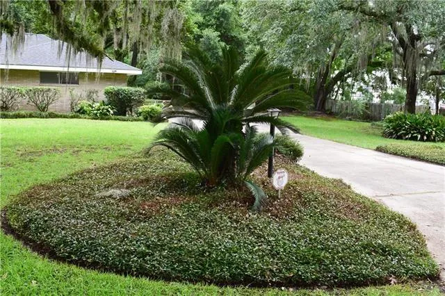 $1,500 | 44486 Recile Lane, Hammond, LA 70403