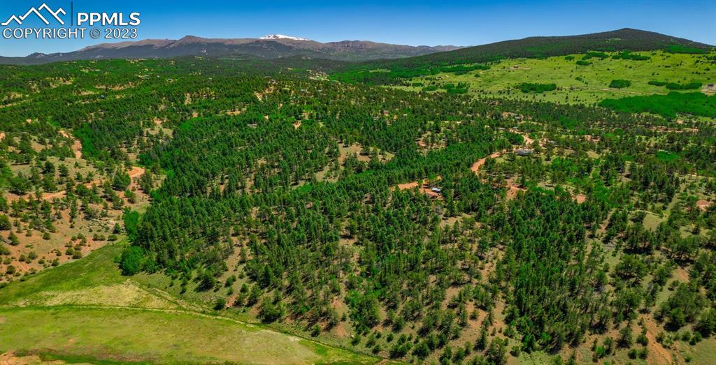 55 Summit Circle Cripple Creek, CO 80813 - Photo 3 of 5 a view of a lush green forest with a mountain